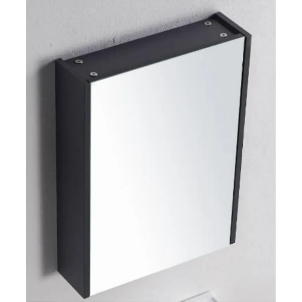 Vasile PVC Mirror Cabinet 450mm (2 Colours) - view 3